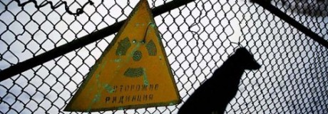 Экологи Казани вышли на митинг: Росатом будет облучать продукты питания